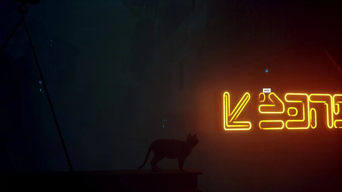 Stray — Слегка толстый кот