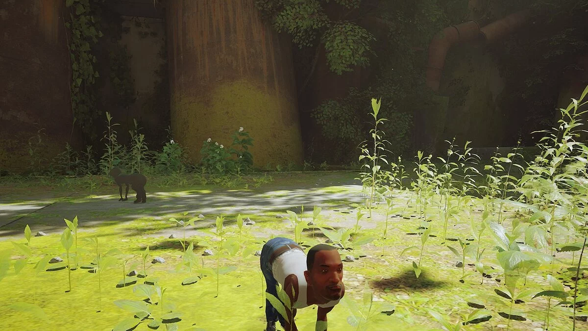 Stray — Кот - Си Джей