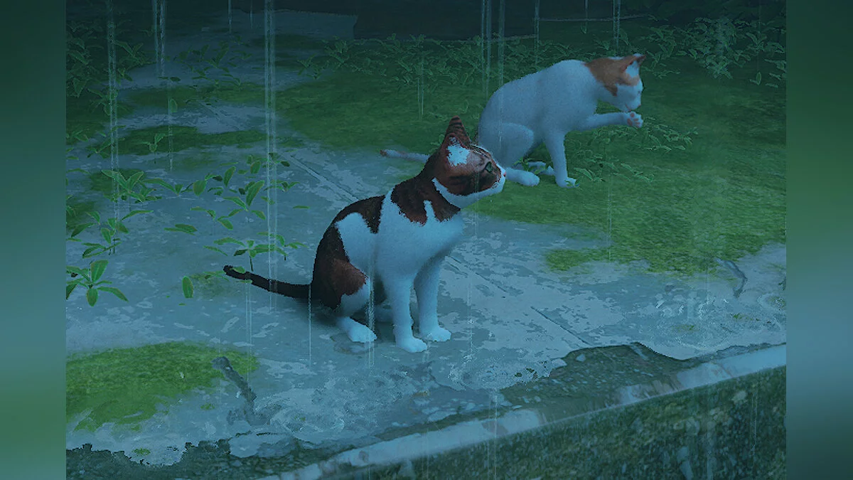 Stray — Кот Дио