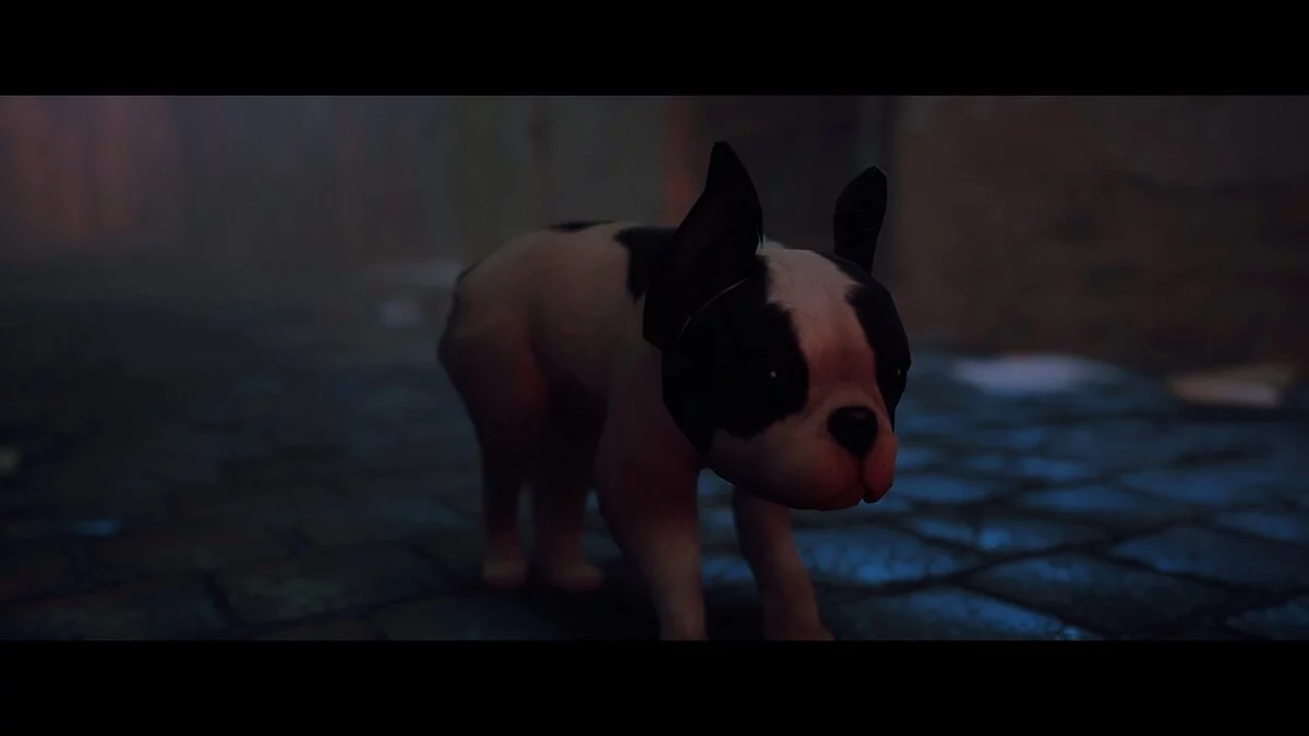 Stray — Счастливый щенок