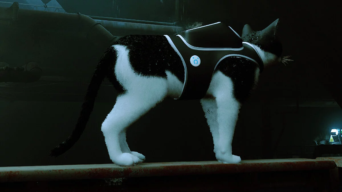Stray — Кот в смокинге (на основе моего настоящего кота)