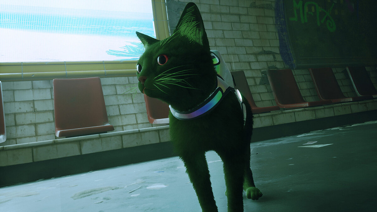 Stray — Зеленый кот с красными глазами