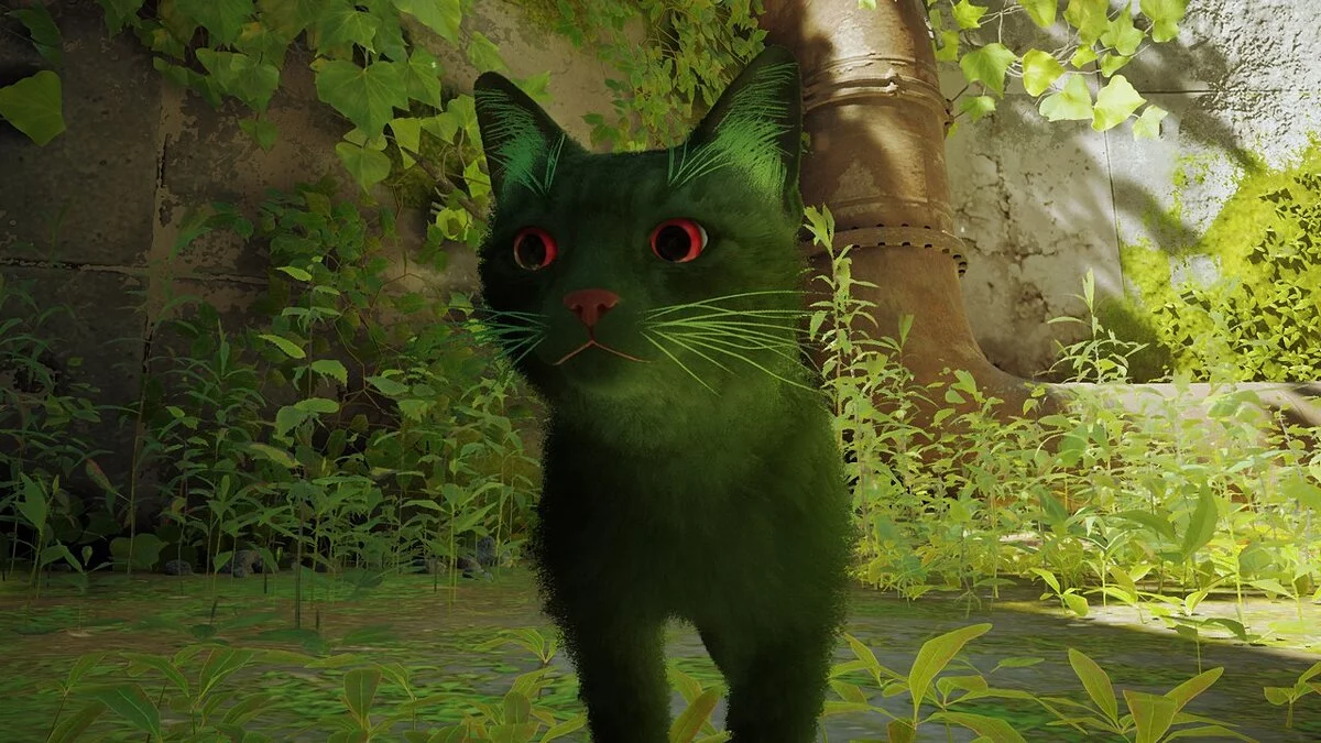 Stray — Зеленый кот с красными глазами