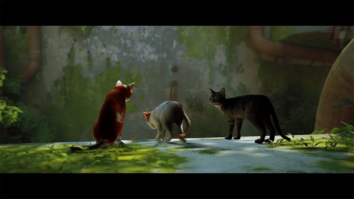 Stray — Серый полосатый кот