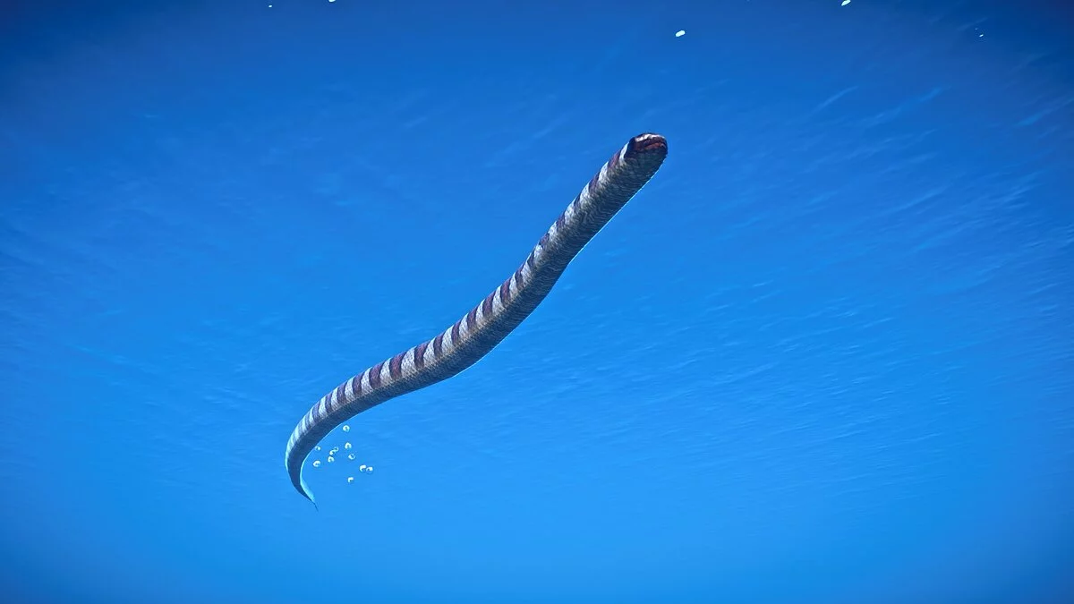 Planet Zoo — Полосатый морской крайт — новые виды