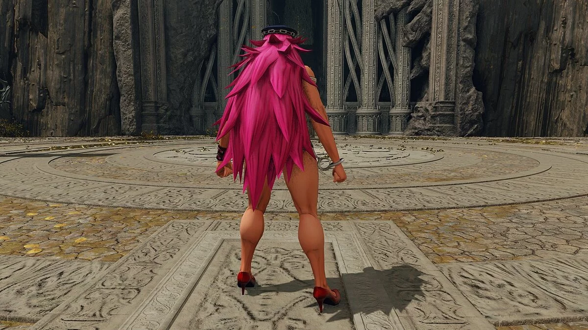 Elden Ring — Пойзон из игры Street Fighter