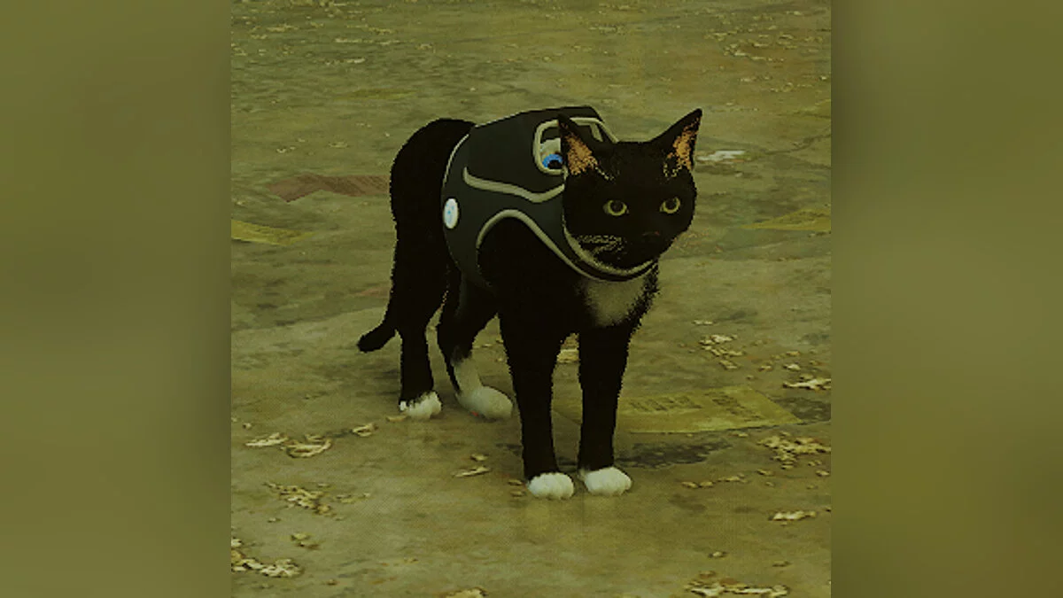 Stray — Кошка - Луна