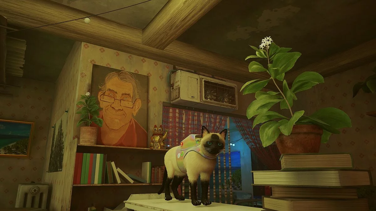 Stray — Сохранение — Игра пройдена на 100% + ачивки