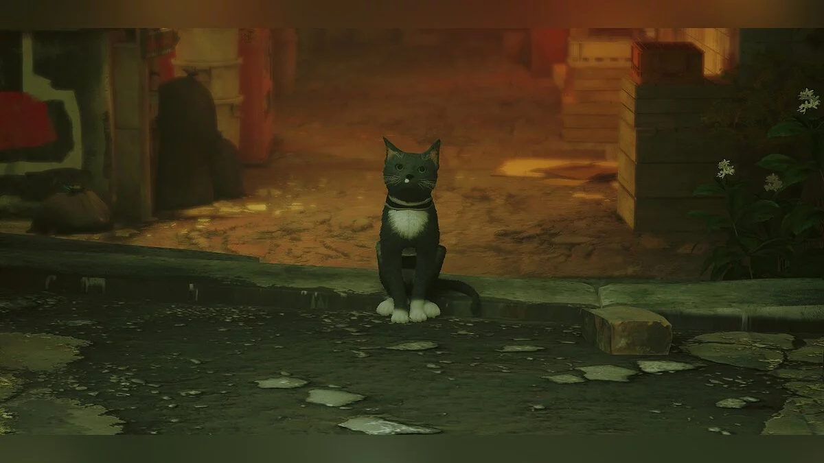 Stray — Гизмо - ретекстур кота
