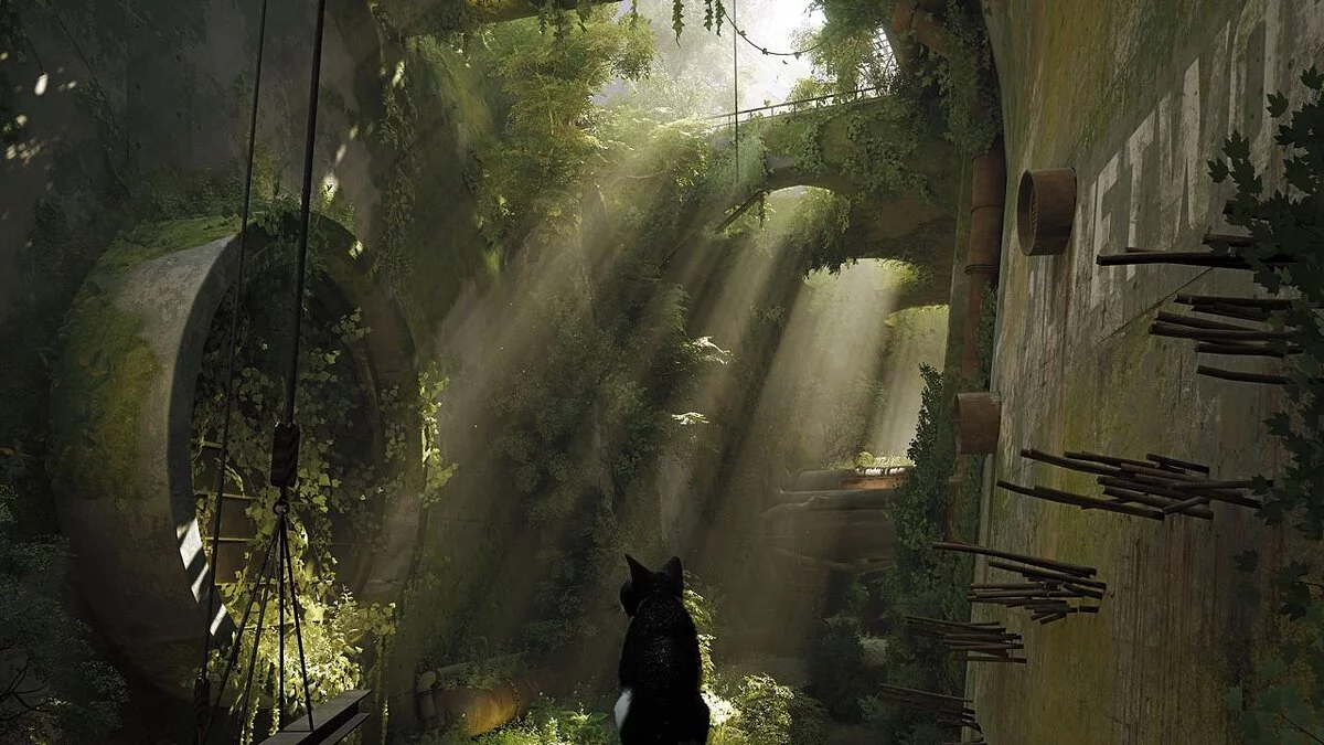 Stray — Чистый решейд с HDR
