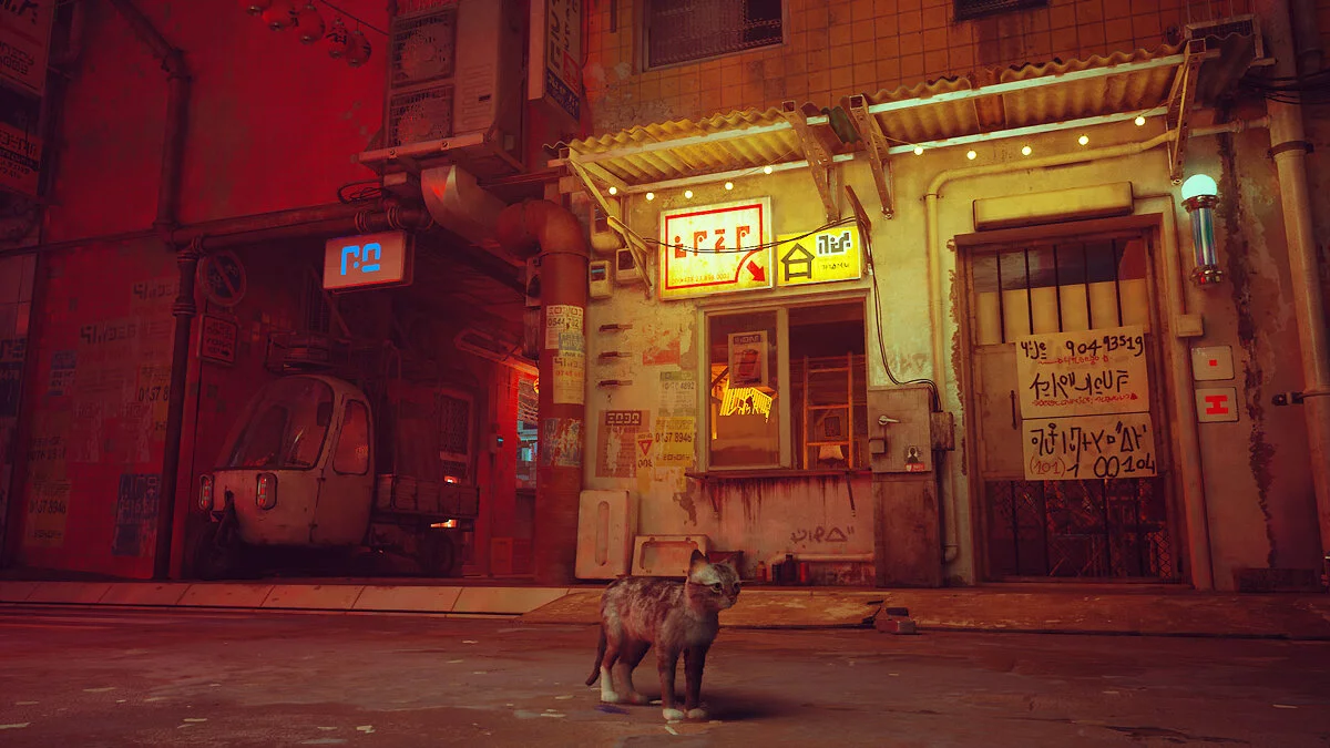 Stray — Горбун (Бездомный кот)