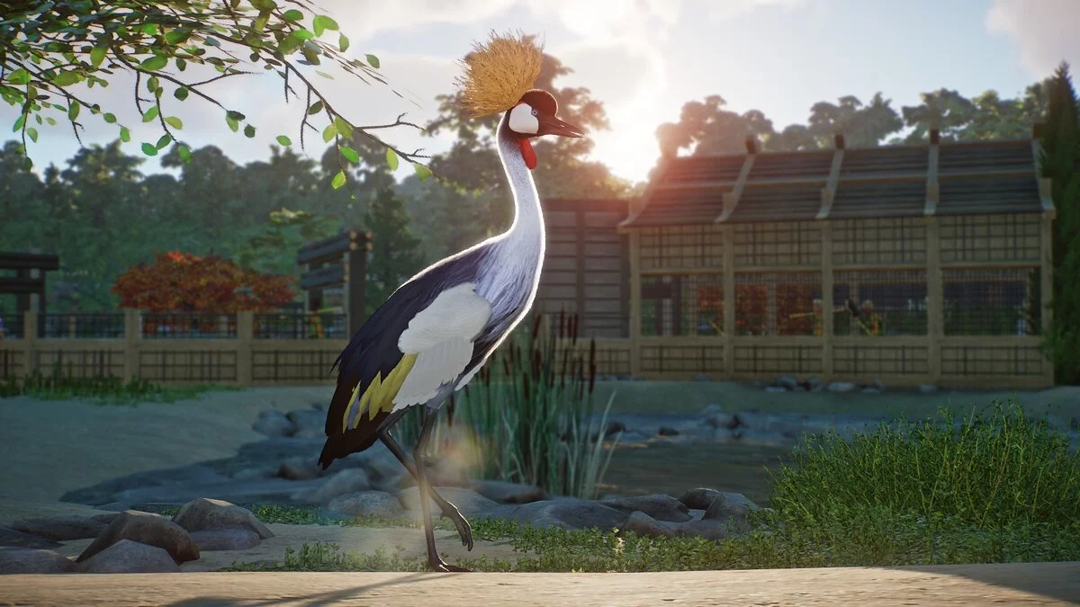 Planet Zoo — Серый венценосный журавль - новые виды