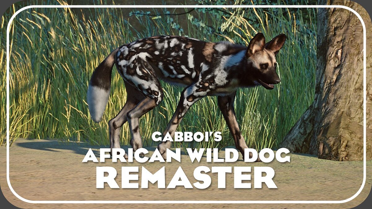 Planet Zoo — Ремастер африканской дикой собаки