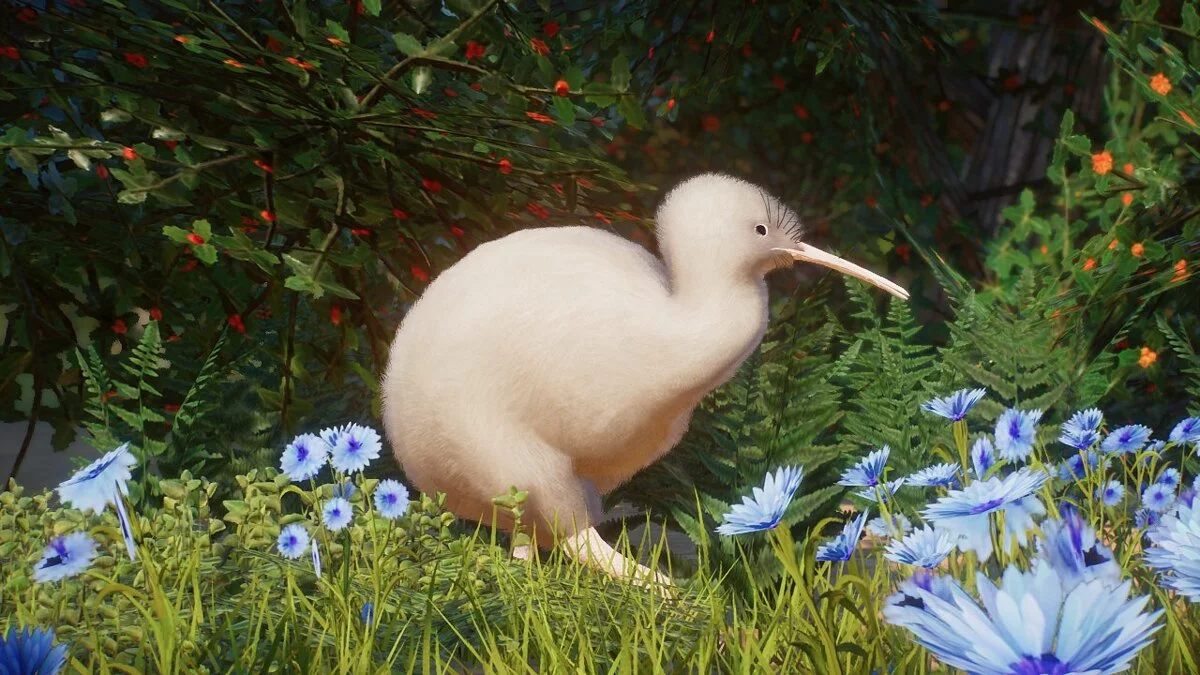 Planet Zoo — Коричневый киви северного острова - новые виды