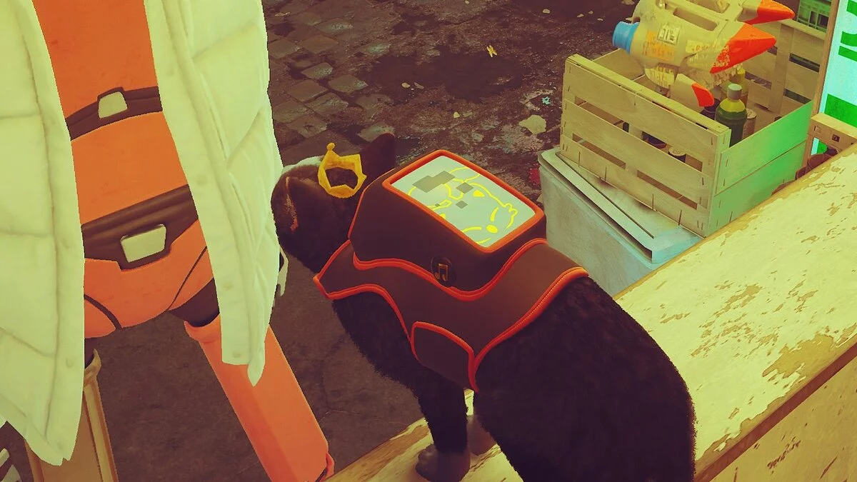 Stray — Кейт Сит