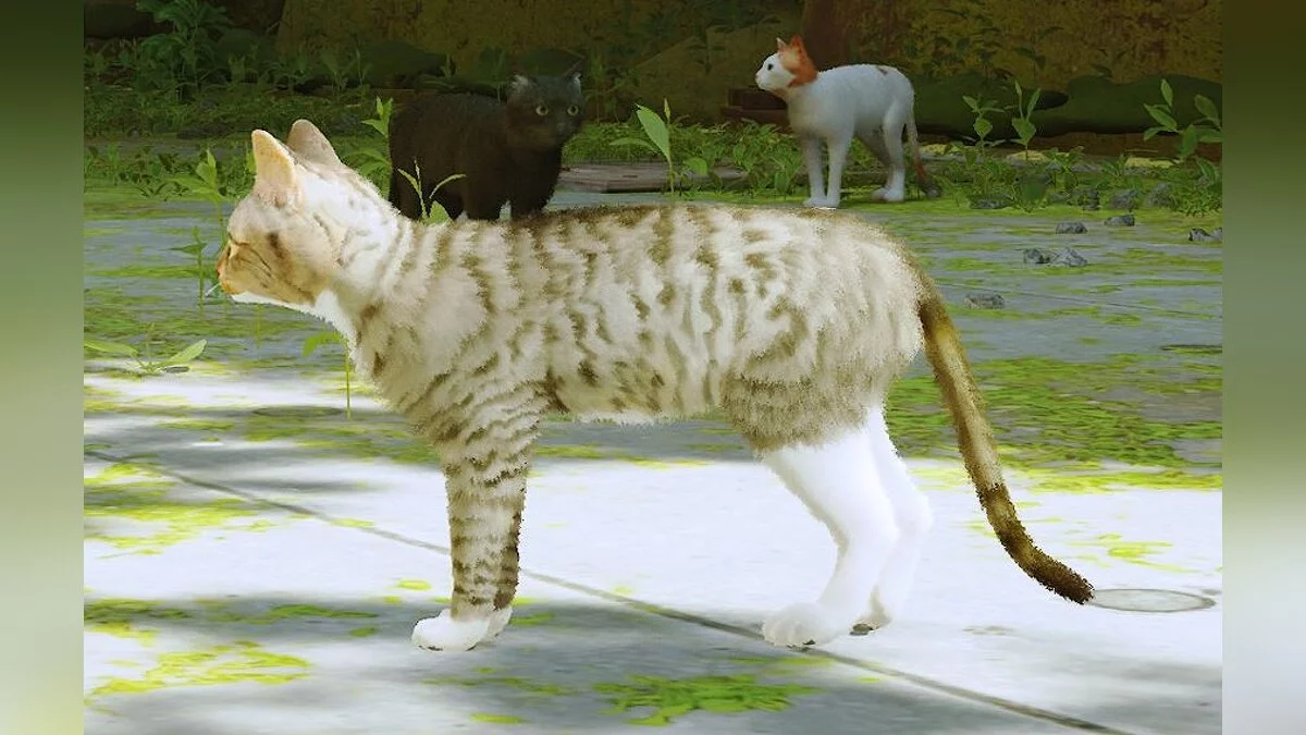 Stray — Кот Морти