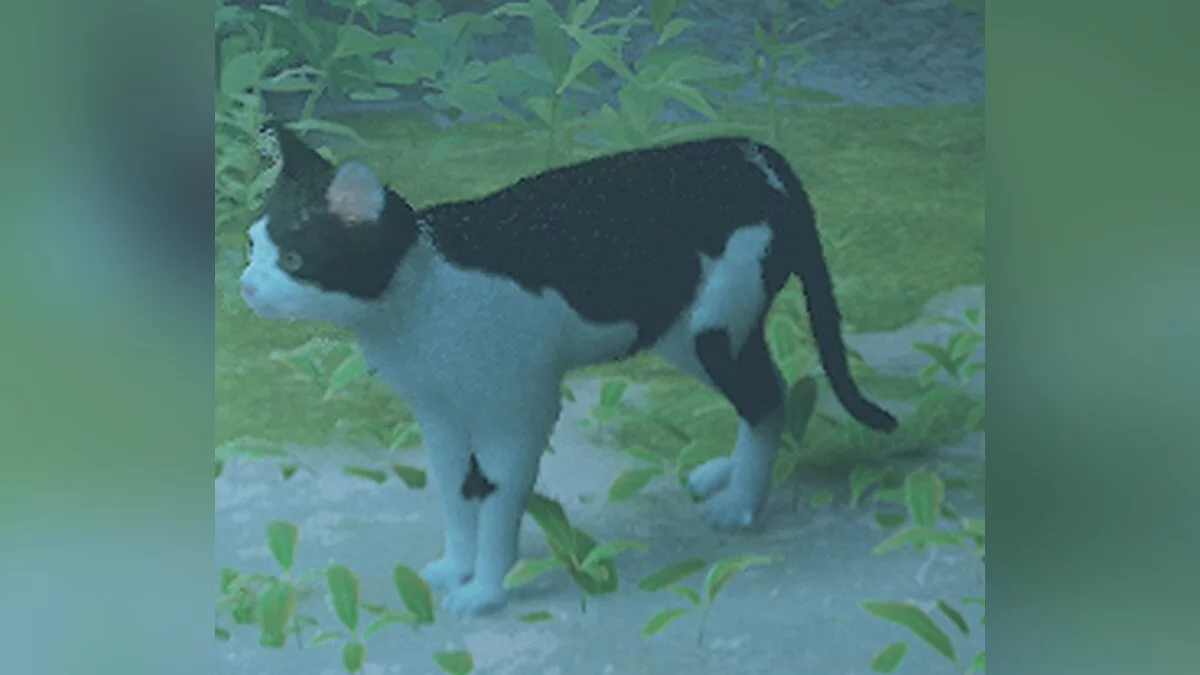 Stray — Кошка Джинкс