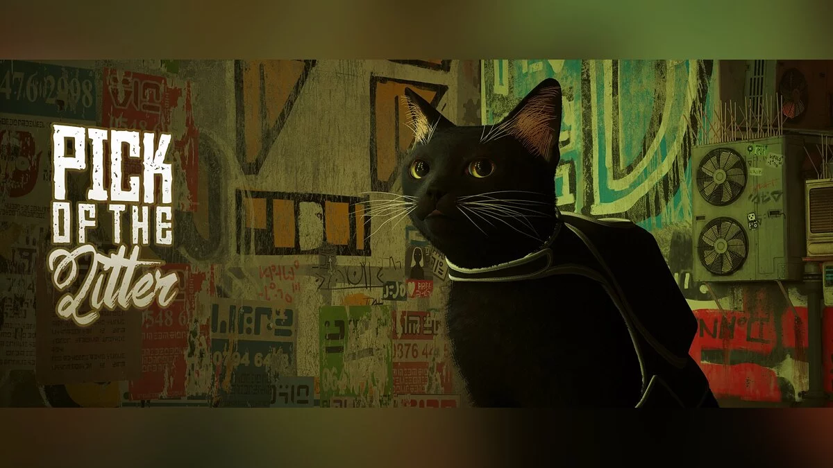 Stray — Новые породы кота