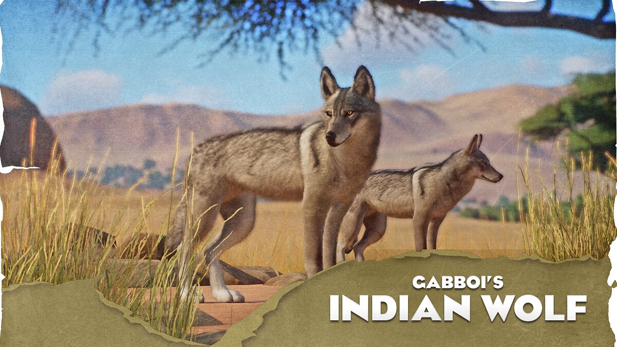 Planet Zoo — Индийский волк - новые виды