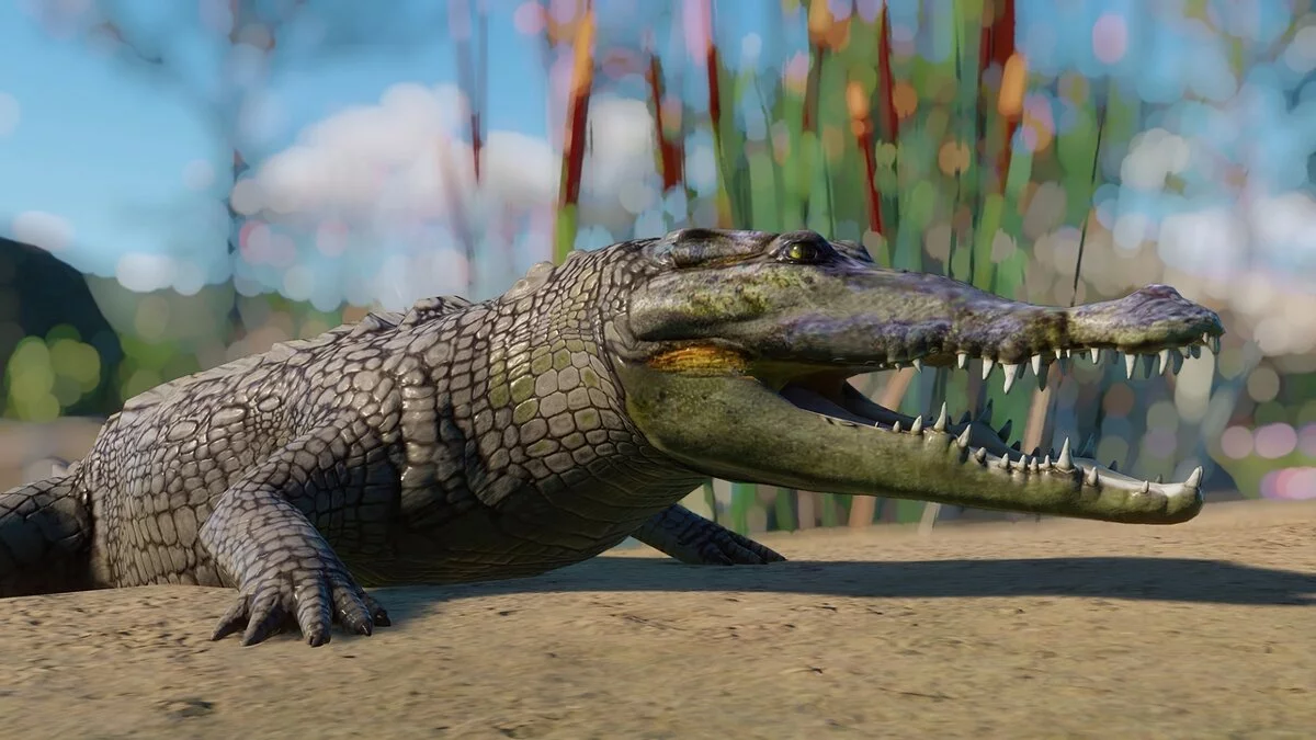 Planet Zoo — Американский крокодил - новые виды