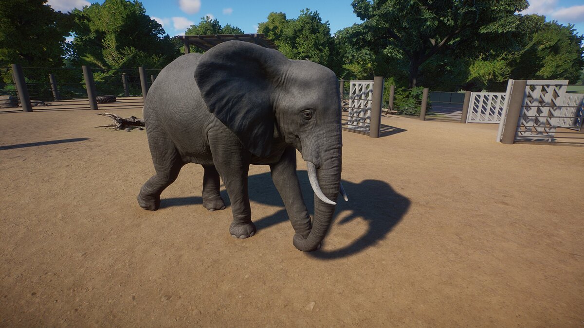 Planet Zoo — Ремастер африканского слона