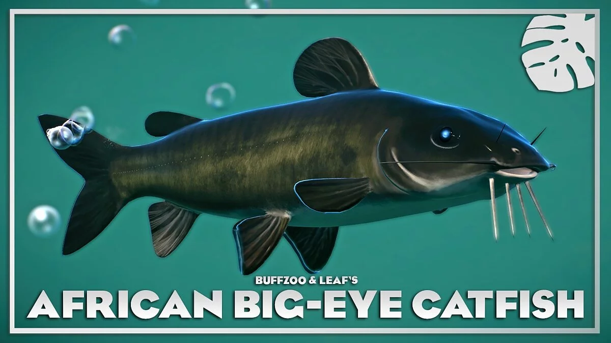 Planet Zoo — Африканский большеглазый сом — новые виды