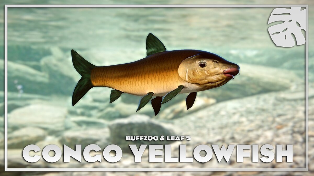Planet Zoo — Желтая рыба Конго  - новые виды