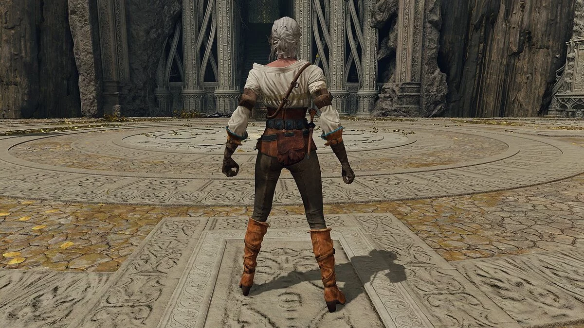 Elden Ring — Цири из игры «Ведьмак 3»