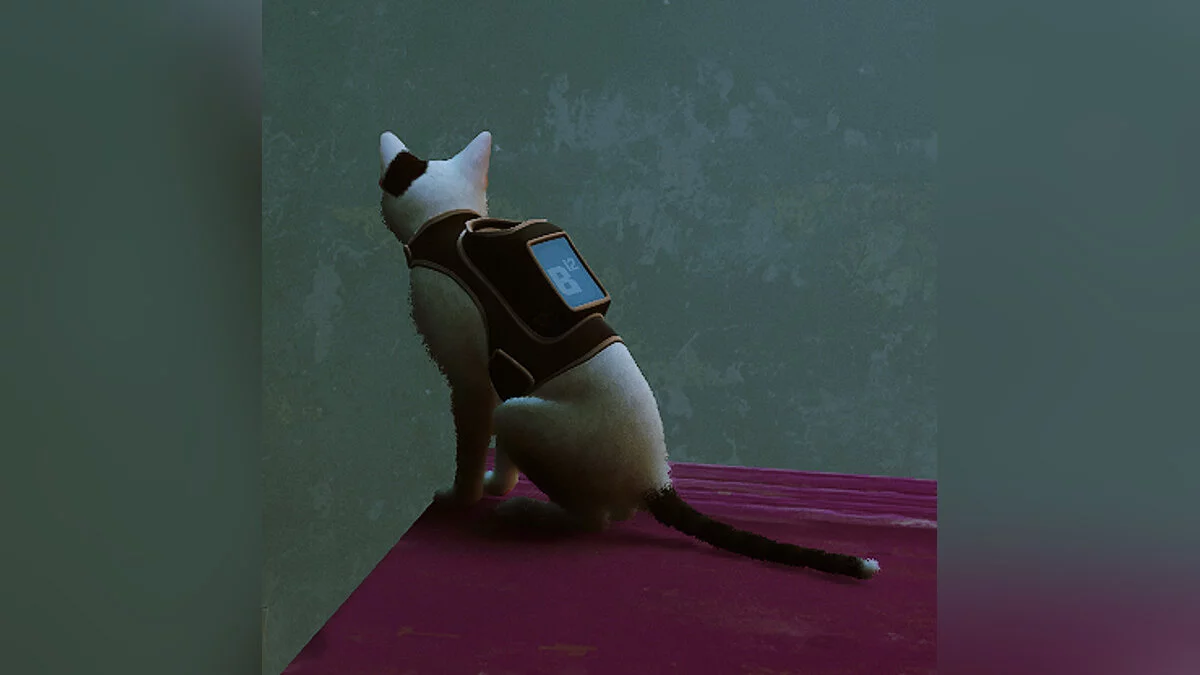 Stray — Декстер кот