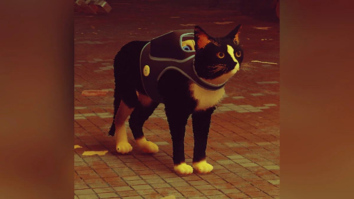 Stray — Волди - облик игрока