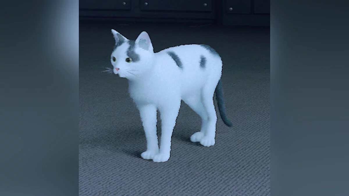 Stray — Эшли - облик игрока