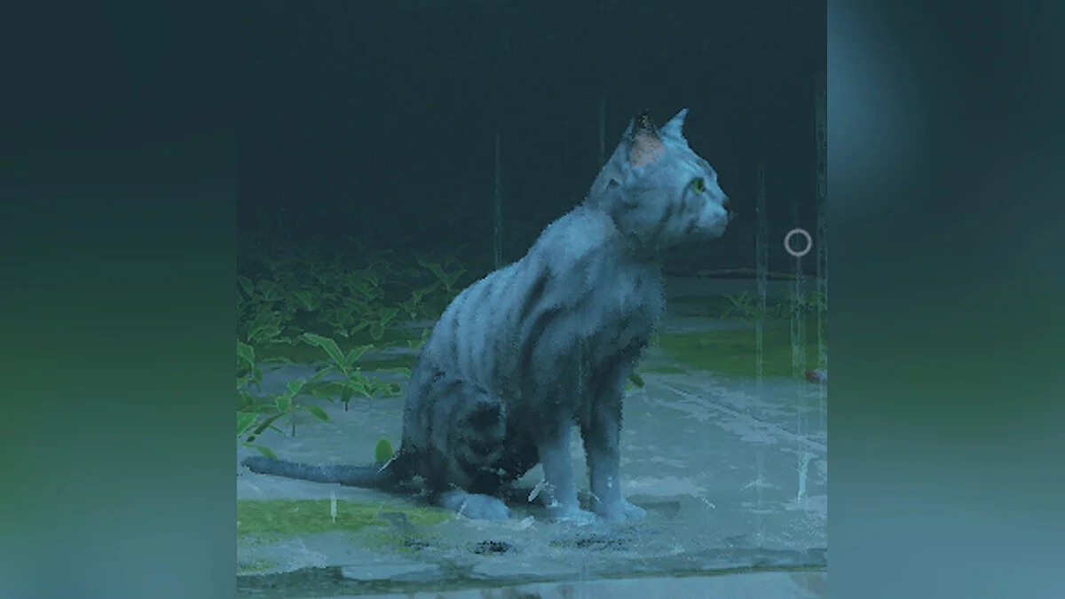 Stray — Кот Макс