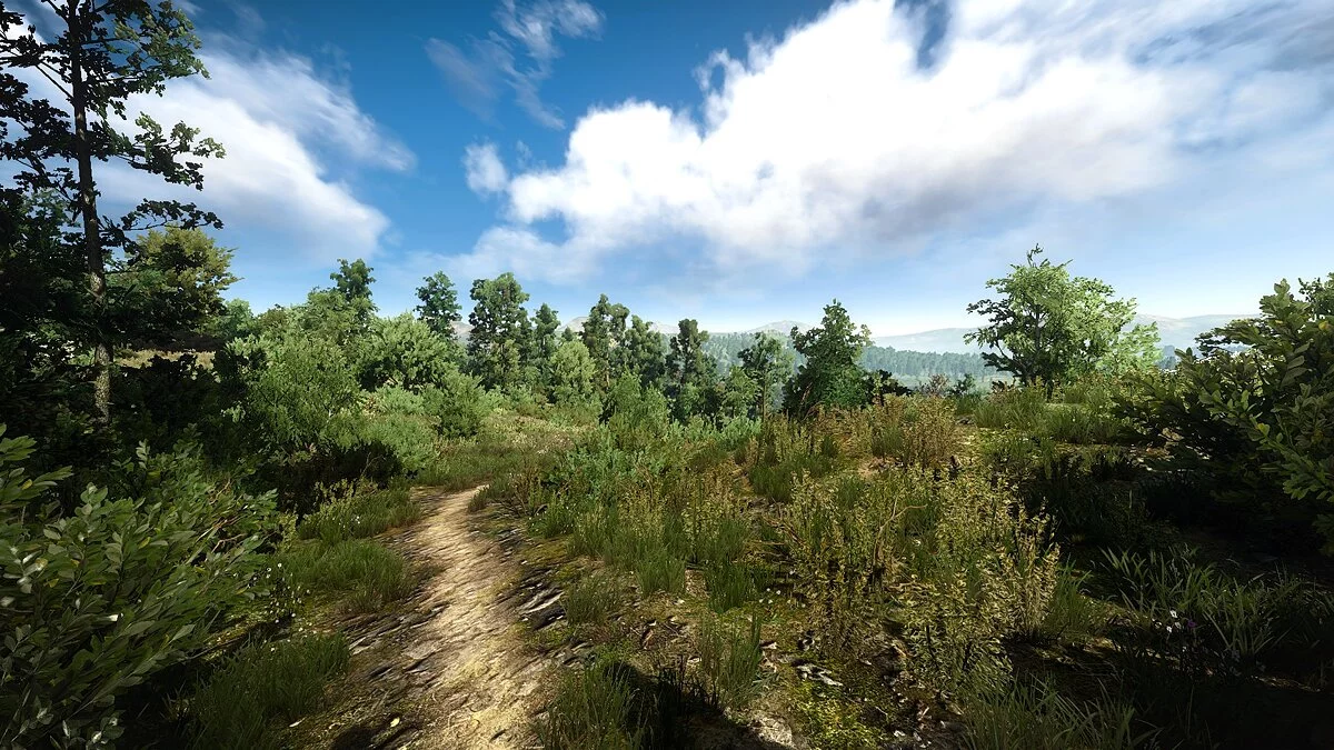 The Witcher 3: Wild Hunt - Complete Edition — Облегченная графика