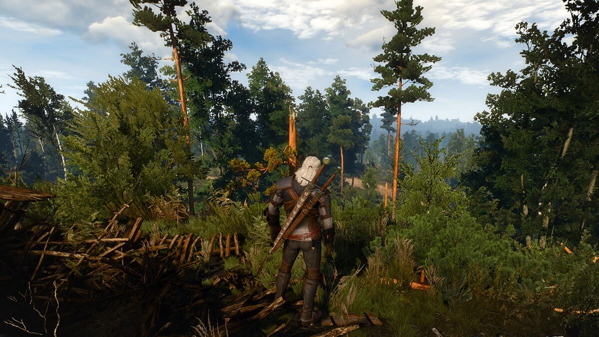 The witcher 3 new quest scavenger hunt wolf school gear фото 91