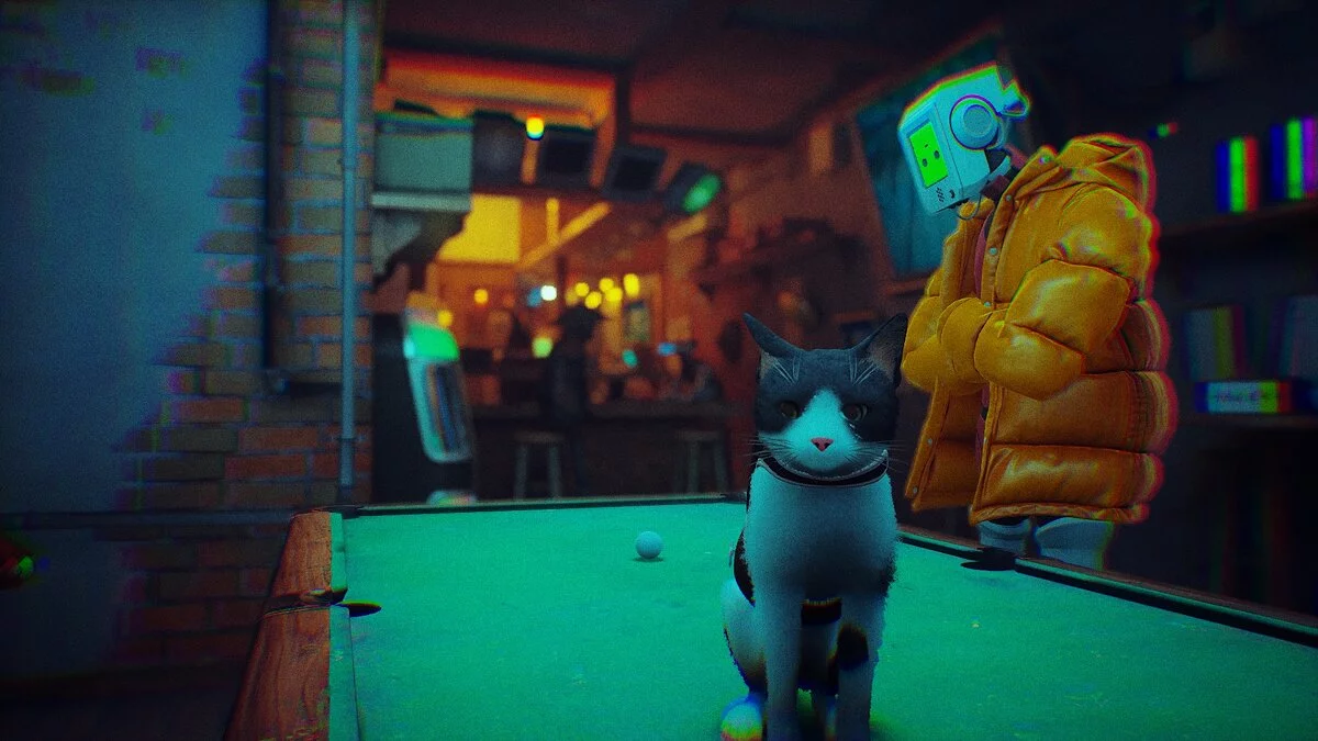 Stray — Вали - кошка игрока