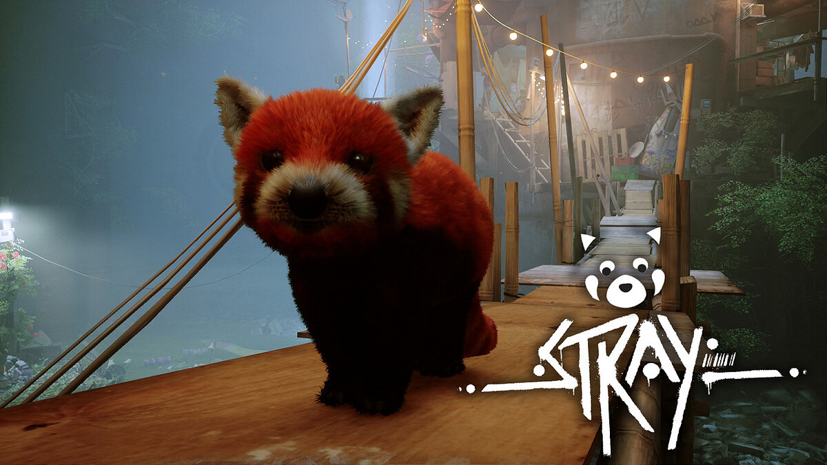 Stray — Красная панда