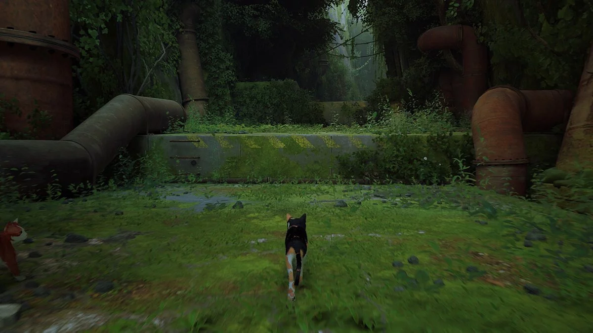 Stray — Кошка Элли