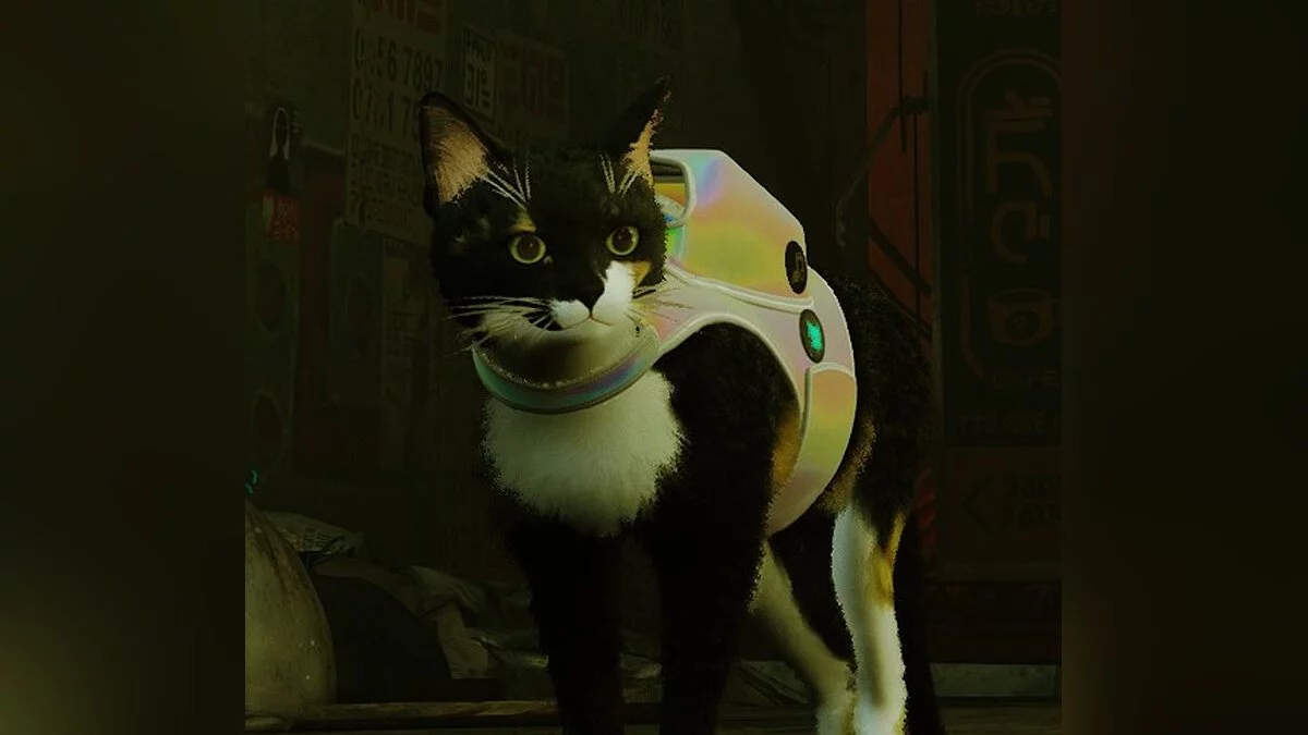 Stray — Кошка по кличке Пепи