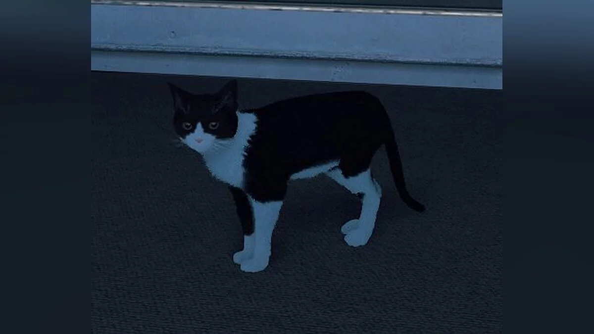 Stray — Нибблс — скин игрока