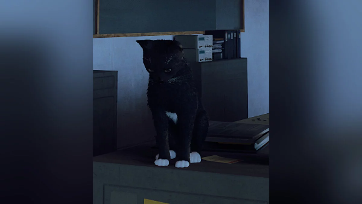 Stray — Юта - облик игрока