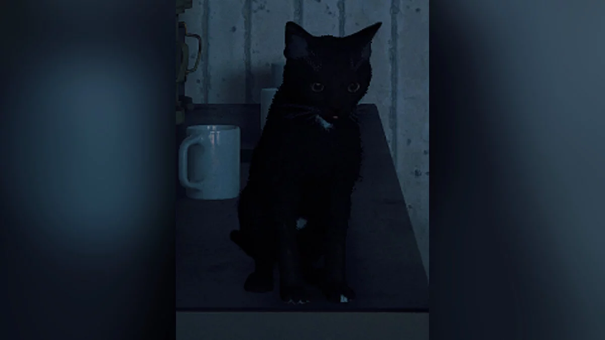 Stray — Фелис - облик игрока