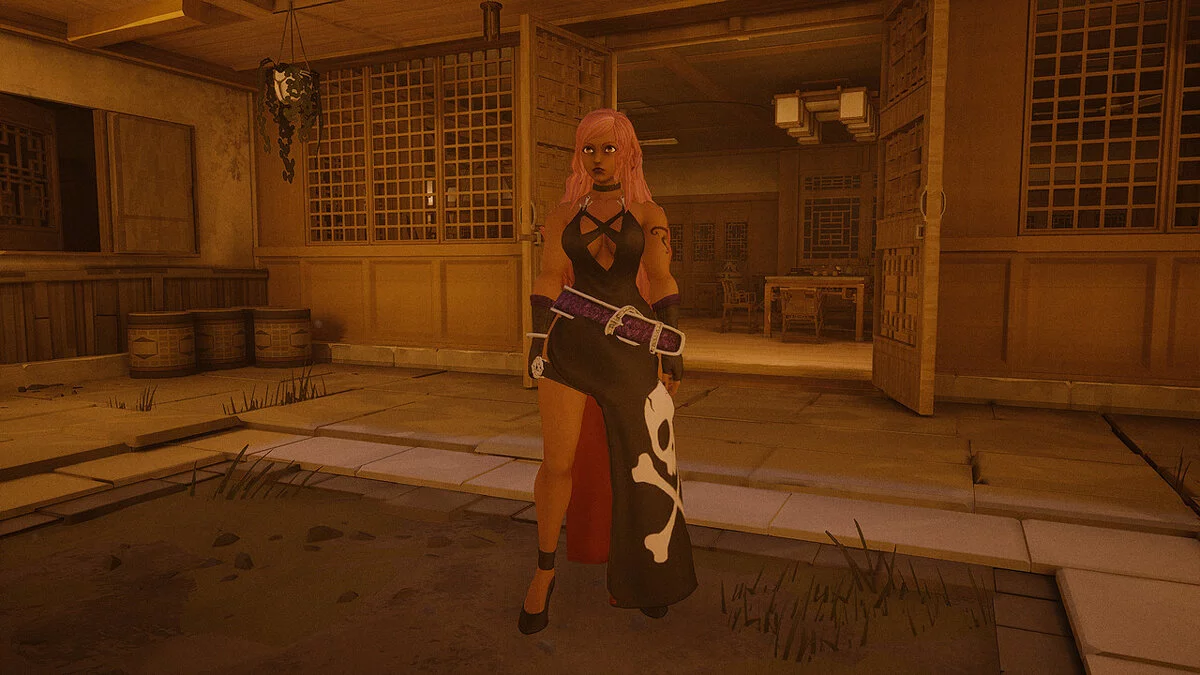 Sifu — Б. Дженет из игры The King of Fighters 15