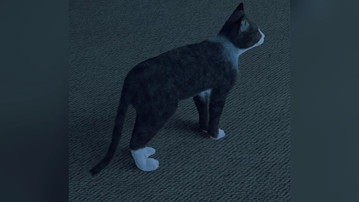 Stray — Кирей - облик игрока