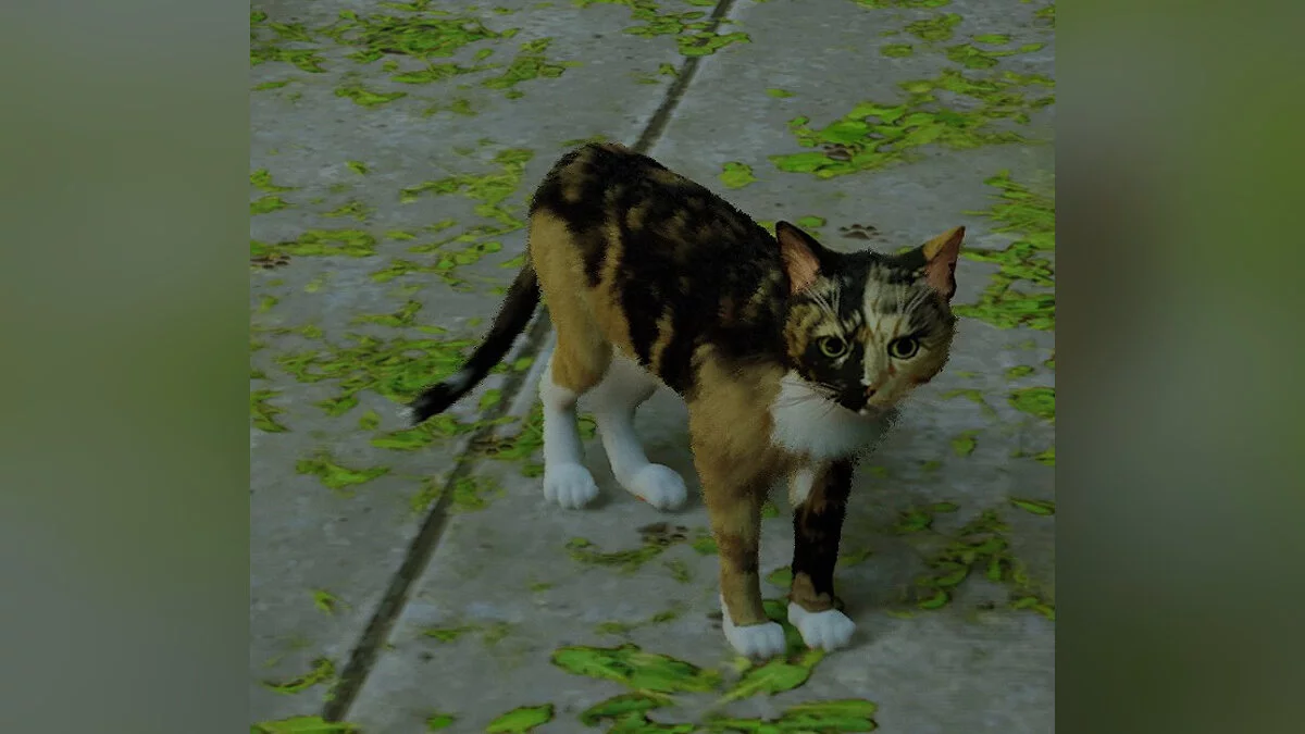 Stray — Эспеон