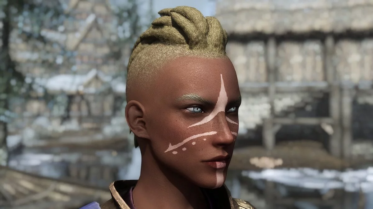 Elder Scrolls 5: Skyrim Special Edition — Денев - пресет редгарда