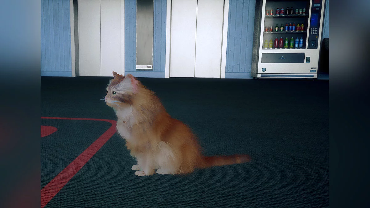 Stray — Ву Конг