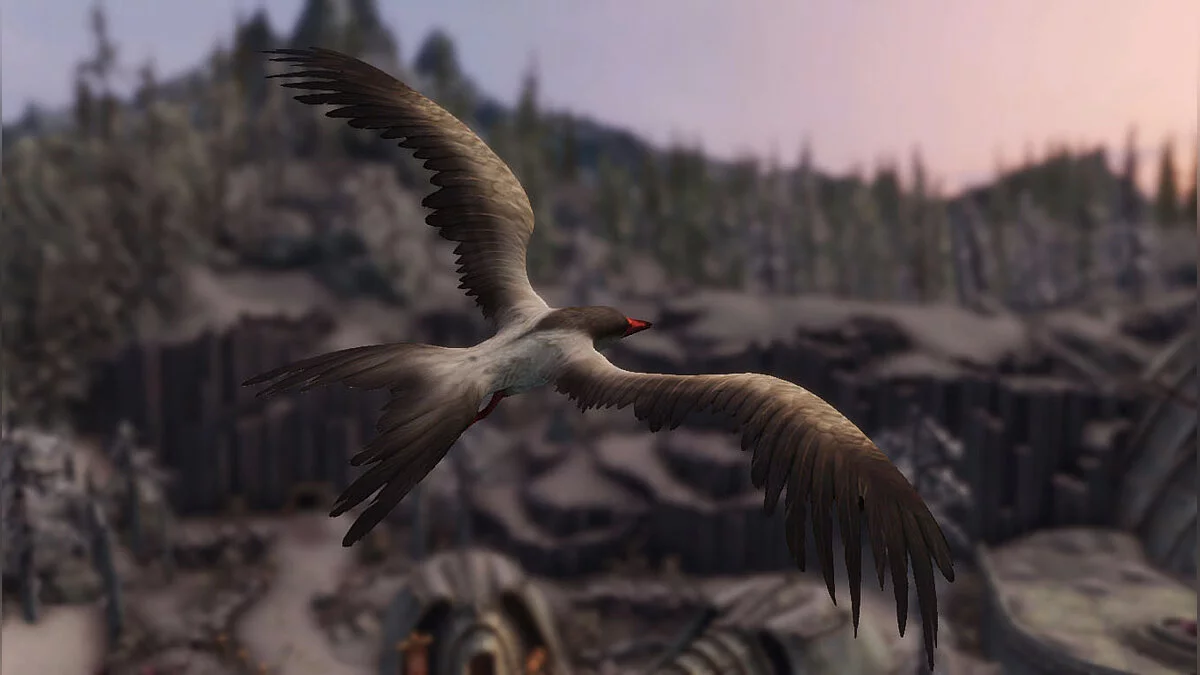 Elder Scrolls 5: Skyrim Special Edition — Фелсаадские крачки