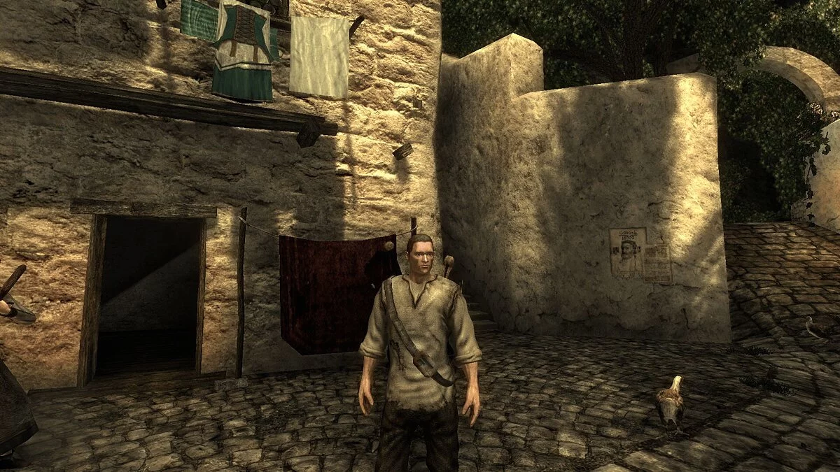 Risen — Old-Gen Hero Face