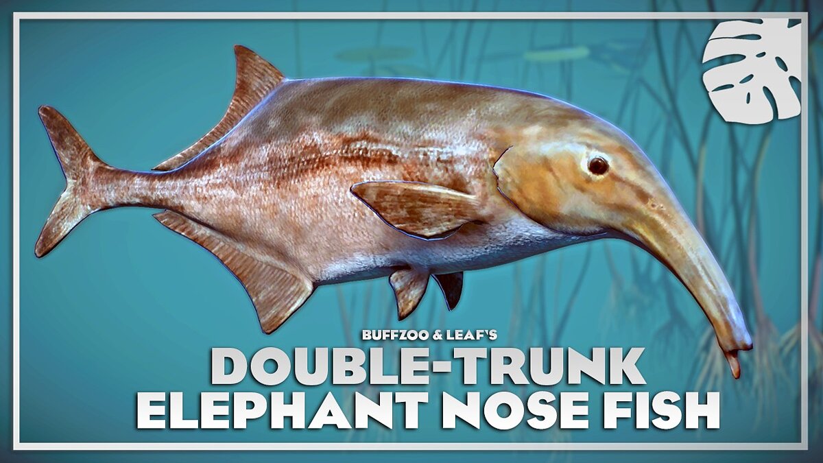 Planet Zoo — Рыба-слон с двойным хоботом — новые виды