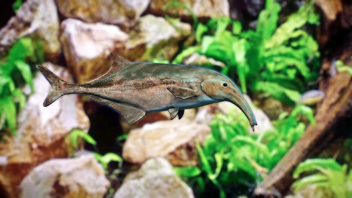 Planet Zoo — Рыба-слон с двойным хоботом — новые виды